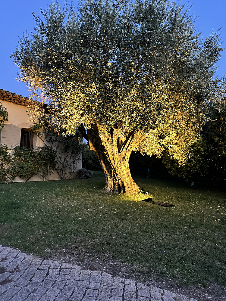 Projecteur solaire 60W